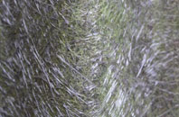 Kirkton Of Auchterless fibreglass roof work